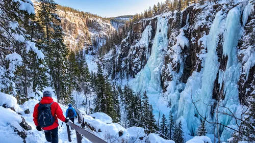 Descend into the Canyon
